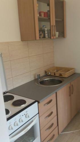 Apartment Pavlovic