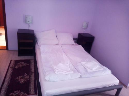 Hostal Guest House Vila Vlasta