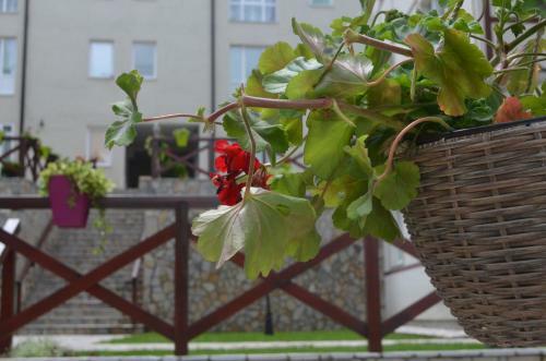 Apartman Charlie