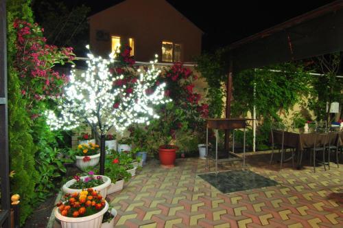 Hostal Guesthouse Valeria