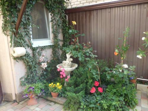 Hostal Guest House On 174? Shevchenko Street