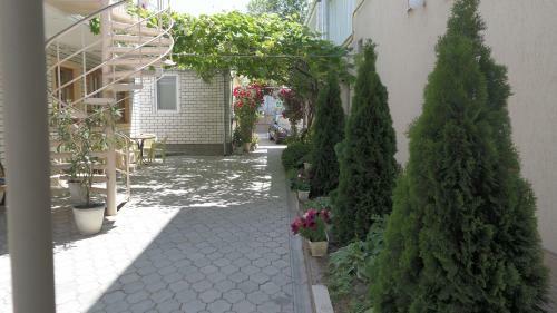 Hostal Tvoy Dom