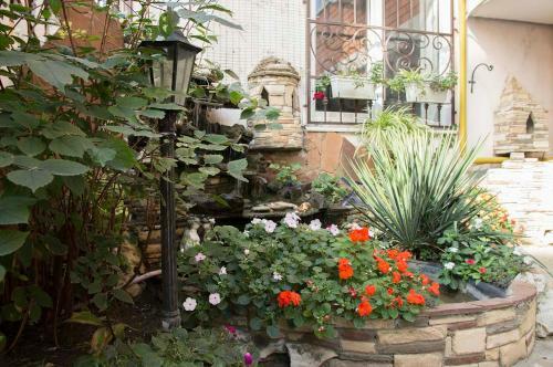 Hostal Guest House Elena