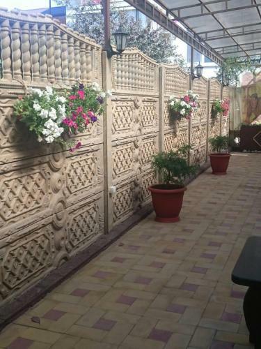 Hostal Milana Guest House