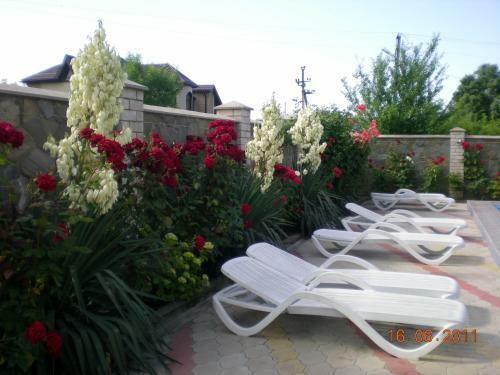 Hostal Tikhaya Gavan