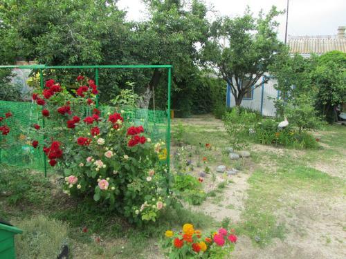 Hostal Gostevoy Dom Anastasiya