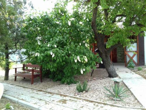 Hostal Guest House Veronika