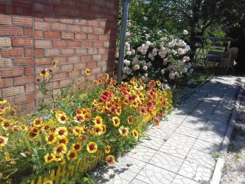 Hostal Guest House Veronika