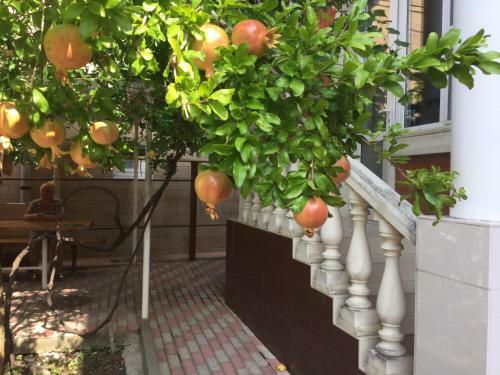Hostal Na Izumrudnoy
