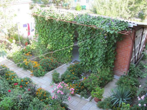 Hostal Guest House On Novorossiyskaya