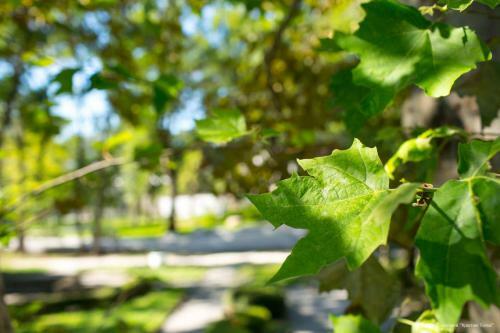 Hotel Krasnaya Talka 2