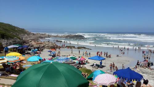Hotel Hermanus Beach Villa