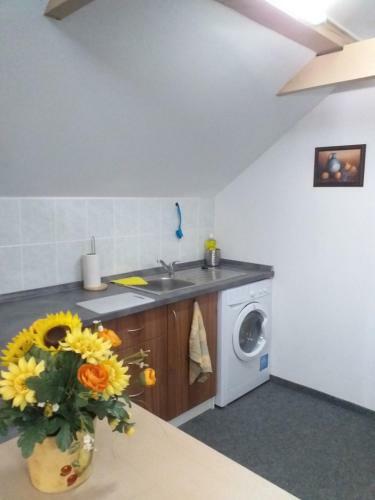 Hostal Vila Terezie