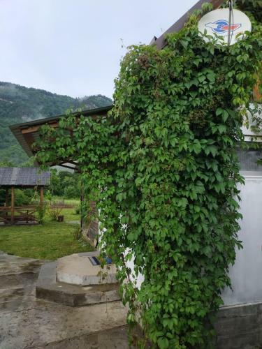 Hostal Domik V Derevne