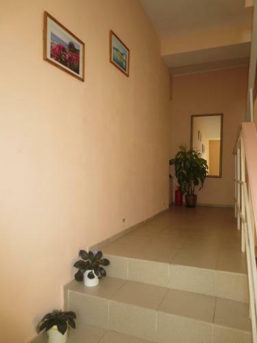 Hostal Mishel Guest House