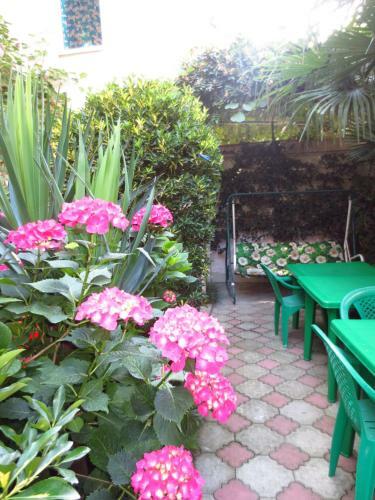 Hostal Mishel Guest House