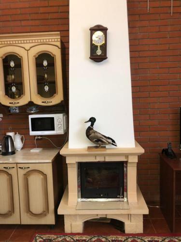 Hostal Comfort Guest House