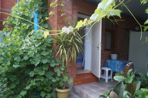 Hostal Guest House On Pionerskiy Prospekt