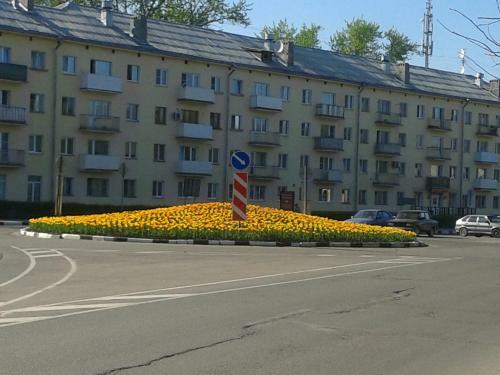 Apartment On Meretskova-volosova