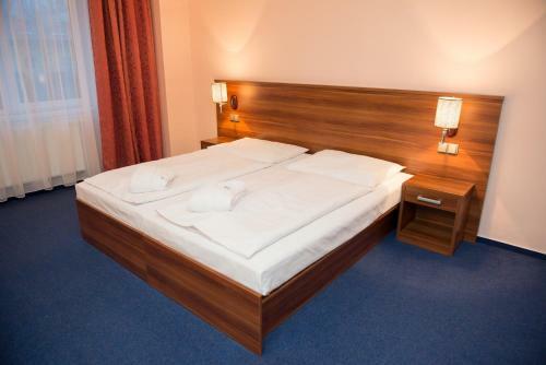 Wellness Hotel Frymburk