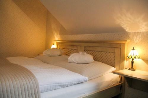 Hotel Maxant