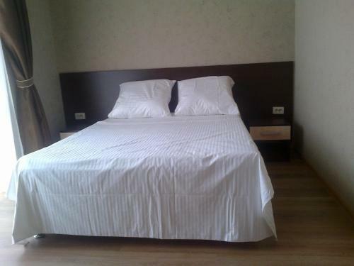 Hostal Aleksandriya Guest House