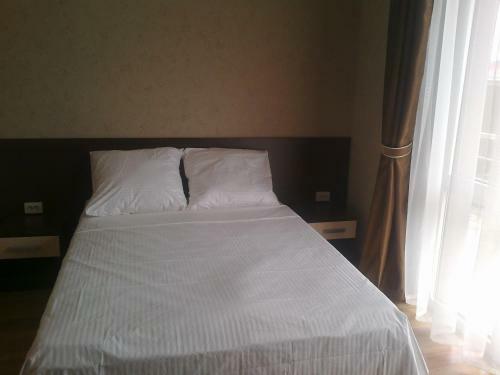 Hostal Aleksandriya Guest House