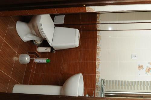 Hostal Aleksandriya Guest House