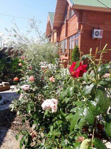 Hostal Guesthouse Chateau Zali