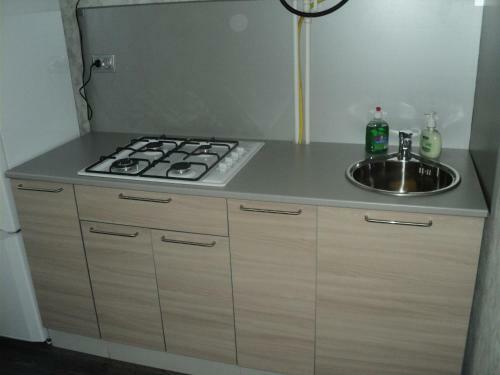 Apartment Pleskov