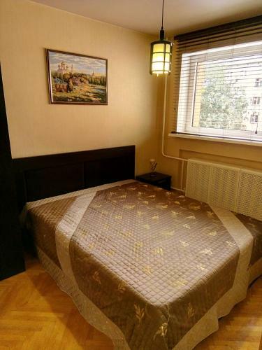 Apartment Pleskov Remeslennyj