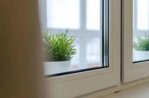 Pskov City Apartments - Mikhailovskaia 1