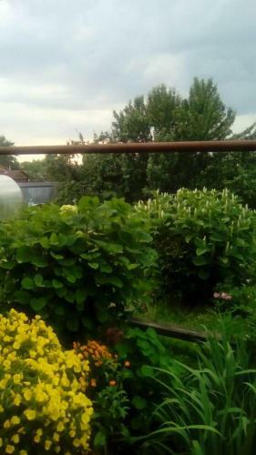 Hostal Nadezhda