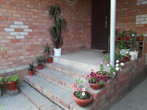 Hostal Guest House On Tsentral`naya 31