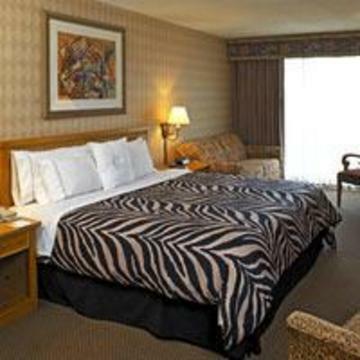 Hotel Sheraton Lake Buena Vista Resort