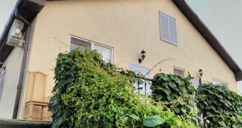 Hostal Guest House Provence