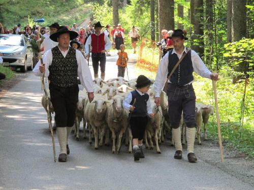 Albergue Cvet Gora - Camping, Glamping And Accomodations