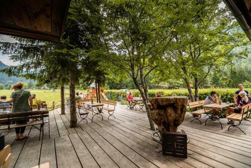 Albergue Cvet Gora - Camping, Glamping And Accomodations