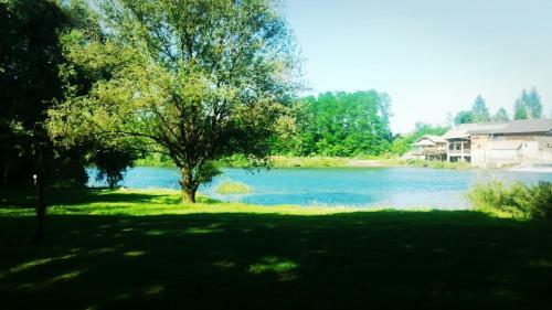 River Kolpa Apartment
