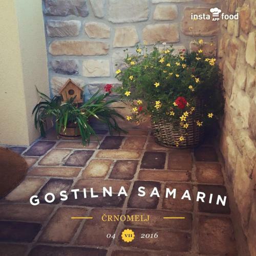 Hostal Gostilna Samarin