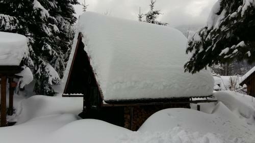 Holiday House Tollazzi