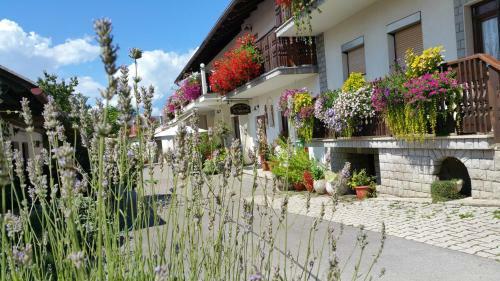Agroturismo Tourist Farm Pri Andrejevih