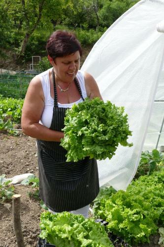 Agroturismo Tourist Farm Pri Andrejevih