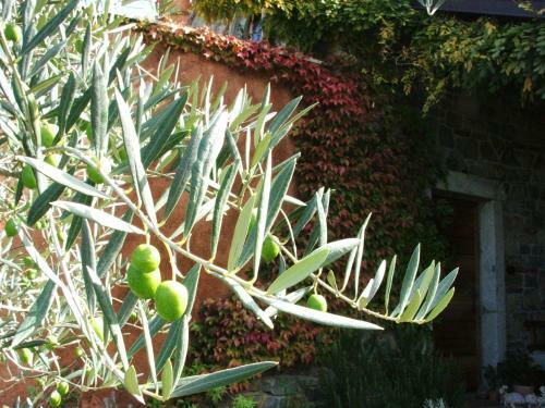 Agroturismo Istria Divina