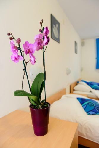 Turizem Loka Bed And Breakfast