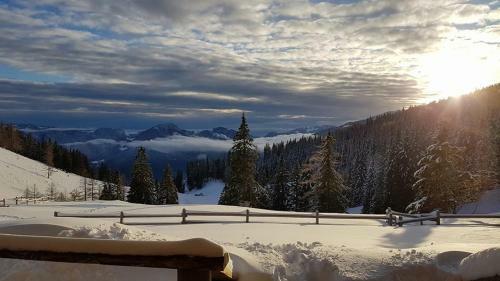 Loka Lodge At Raduha