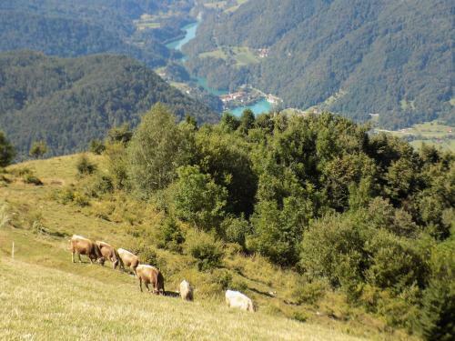 Holiday Home Na Planini