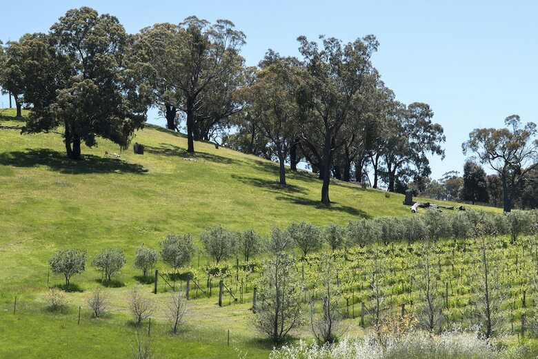 Agroturismo Blue House At Mountainside Wines