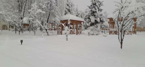 Kaspia Yeddi Gozel Hotel