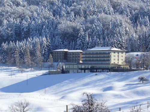 Hotel Bad Ramsach